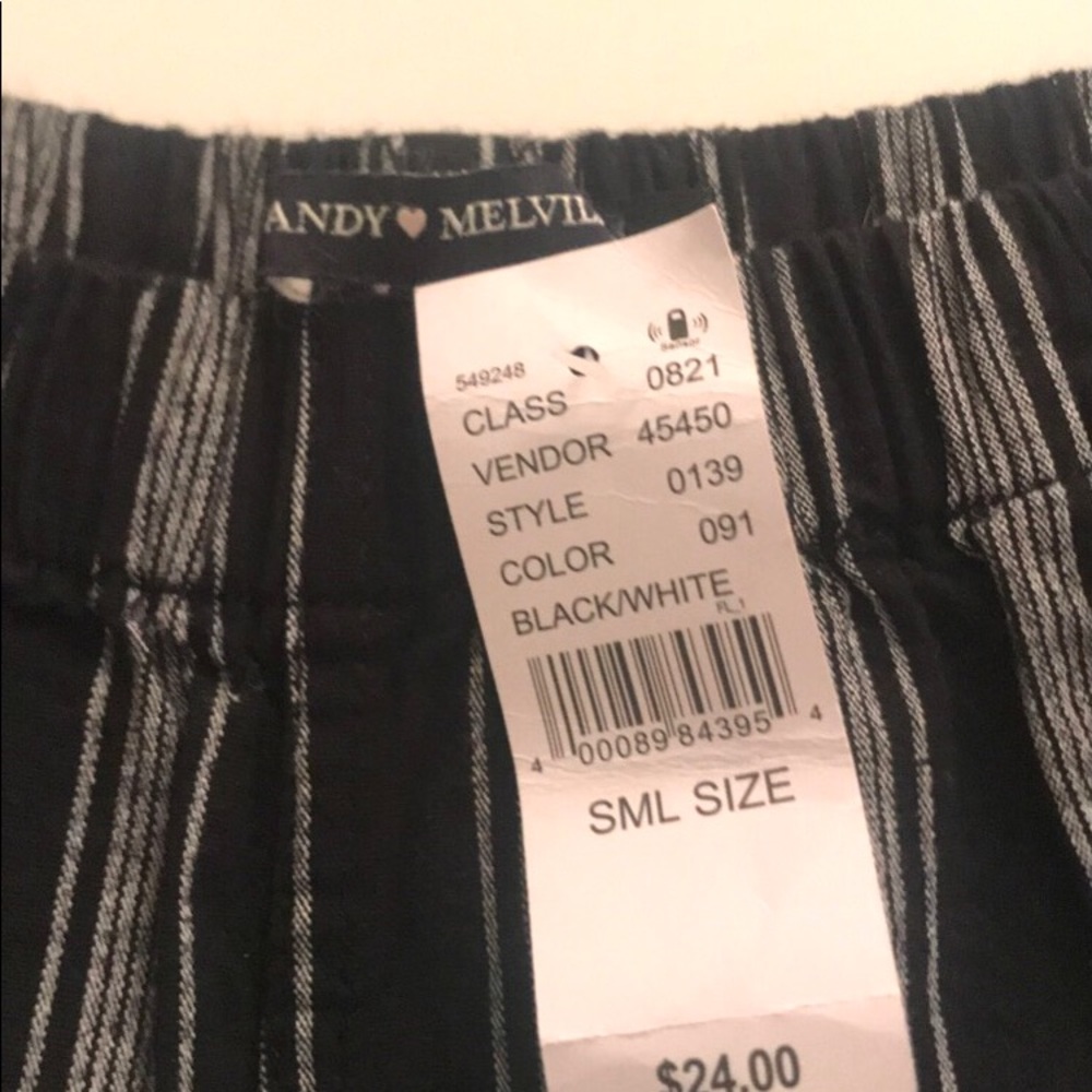 Brandy Melville Samii Shorts from Pacsun - Picture 2 of 3